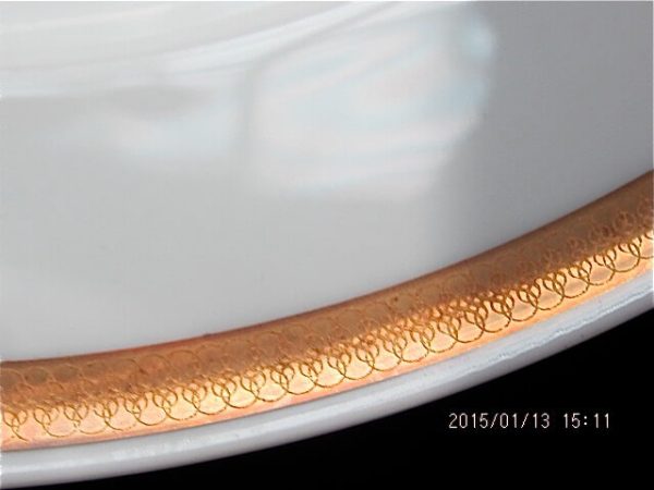 ROSENTHAL "HELENA" DINNER SERVICE for 12